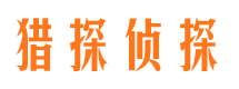 岭东侦探公司